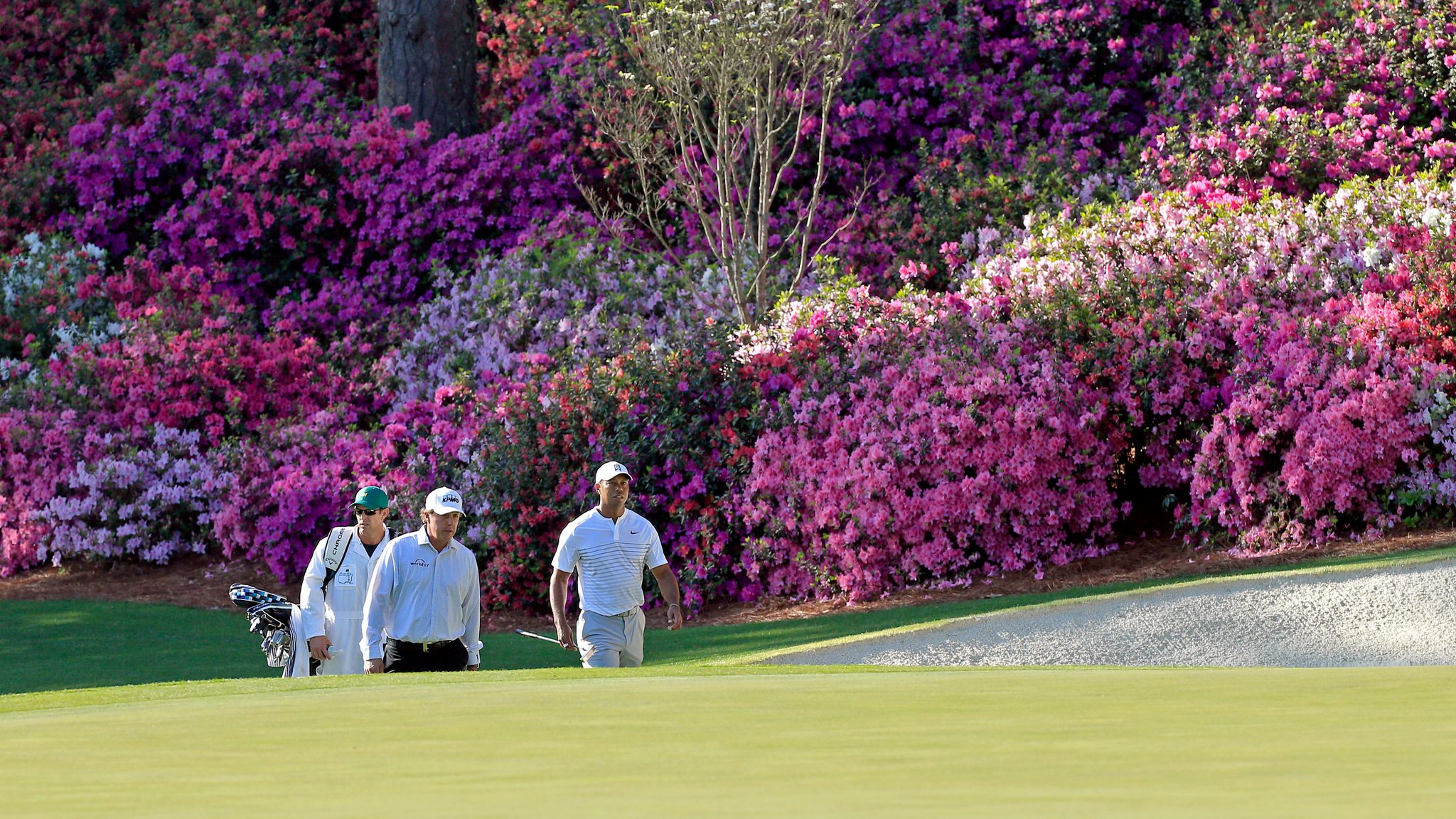 Tiger and Phil Augusta 2018