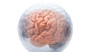 Golf Ball Brain