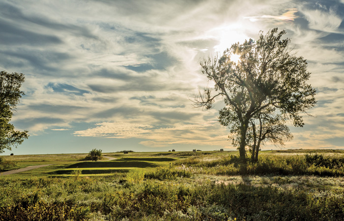 The Bridges Golf Club