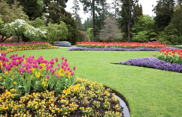 Winter Flowering Plants, Winter Landscaping