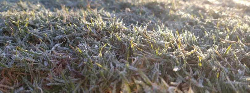 Ask the Superintendent – What Exactly is a Frost Delay?