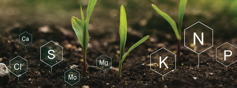 Agronomy – Fertilizer