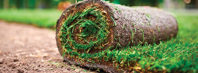 Ask the Superintendent – How to Prepare Your Lawn for New Sod