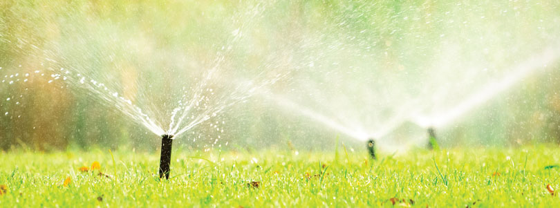 Ask the Superintendent – Maximizing Water Usage