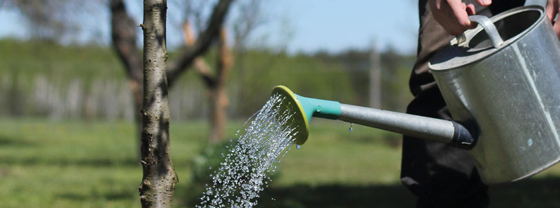 Ask the Superintendent – Winter Watering Tips